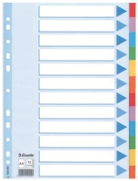 Kartonregister Standard Blanko, A4, Karton, 12 Blatt